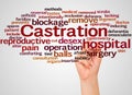 Castration word cloud and hand with marker concept Royalty Free Stock Photo
