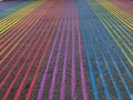 Rainbow Intersection, Castro District, California Royalty Free Stock Photo