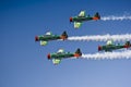 Castrol Flying Lions Harvard Aerobatic Team