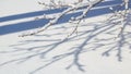 Casts long shadows enhancing the contrast between the pure white snow Royalty Free Stock Photo