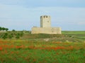 the casttle of Tellez of Meneses in Tiedra, Spain Royalty Free Stock Photo