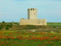 the casttle of Tellez of Meneses in Tiedra, Spain Royalty Free Stock Photo