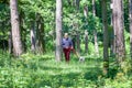 Elderly Man is Walking a White Pitbull Terrier Dog in the Park