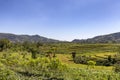 Casual Ruteng Rice Terrace Royalty Free Stock Photo