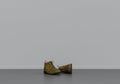 Casual sneaker shoes on the ground, cloth and accessories in a grey interior room with copy space, 3d Rendering