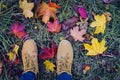 Casual unisex boots with colorful autumn fallen leaves. Royalty Free Stock Photo