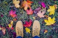 Casual unisex boots with colorful autumn fallen leaves Royalty Free Stock Photo