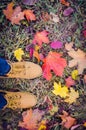 Casual unisex boots with colorful autumn fallen leaves. Royalty Free Stock Photo