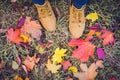 Casual unisex boots with colorful autumn fallen leaves. Royalty Free Stock Photo