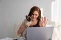 Casual woman using laptop with her Siamese cat in white bedroom. life with pet. shadows. Royalty Free Stock Photo