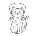 Funny cat with a bag on its head in black and white. Cute feline character Royalty Free Stock Photo