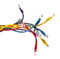 CAT 5 Ehernet patch cables isolated Royalty Free Stock Photo