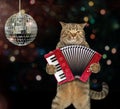 Cat with the accordion at the stage Royalty Free Stock Photo
