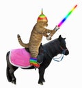 Cat alien rides a black horse