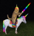 Cat alien rides the unicorn 2
