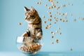 A cat amusingly sits in a food bowl, watching airborne pieces of dry cat food suspended in the air against a blue