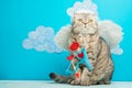 Cat Angel in the form of Cupid, Valentine`s Day