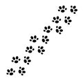 Cat animal paw prints path simple cartoon vector illustration, domestic pet cute doodle traces