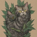 cat animal smoking ganja weed illustration of a cat on leaves of weed