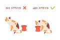 Cat appetite. Picky to feed kitten, bad or good pets appetites diagram, home animal diet cats want eating fodder bowl