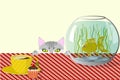 Cat, aquarium and cup