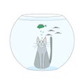 The cat in the aquarium watches the fish, the gray cat under the