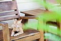 Cat on the arm chair Royalty Free Stock Photo