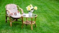 Cat on armchair wooden garden furniture on grass lawn outdoor for relaxing on hot summer days. Garden landscape with two chairs in Royalty Free Stock Photo