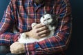 Cat in the arms of the owner. A white-gray cat is resting in the arms of a man. Emotions of love, tenderness, care Royalty Free Stock Photo