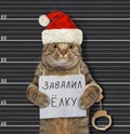 Cat arrested for knocked Christmas tree