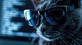 Cat as hacker on computer code background. Concept of spy, technology, hack, funny animal, cyber security, scam, crime and virus Royalty Free Stock Photo