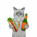 Cat ash holds bottle of beer and hot dog 2 Royalty Free Stock Photo