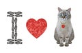 Cat ash loves heart shaped sausage Royalty Free Stock Photo