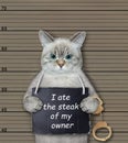 Cat ashen ate steak of its owner Royalty Free Stock Photo