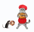 Cat ashen baker holds sweet round bun