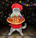 Cat ashen baker holds tray with birthday pizza 2 Royalty Free Stock Photo