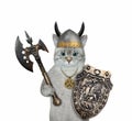 Cat ashen with battle axe Royalty Free Stock Photo