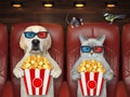 Cat ashen and dog labrador watching movie Royalty Free Stock Photo