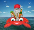 Cat ashen drinks beer on inflatable crab