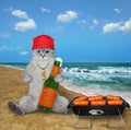 Cat ashen drinks beer with sausage on beach