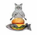 Cat ashen eats fish burger on plate Royalty Free Stock Photo