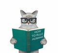 Cat ashen in eyeglasses reads green book