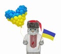 Cat ashen holding ukrainian flag 2