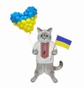 Cat ashen holding ukrainian flag