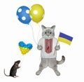 Cat ashen holding ukrainian flag 3