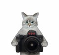 Cat ashen holds black camera