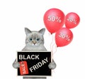 Cat ashen holds poster black friday