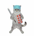 Cat ashen holds thermometer and pill packaging 2 Royalty Free Stock Photo