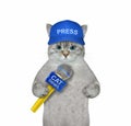 Cat ashen journalist with microphone