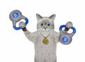 Cat ashen lifts blue kettlebells